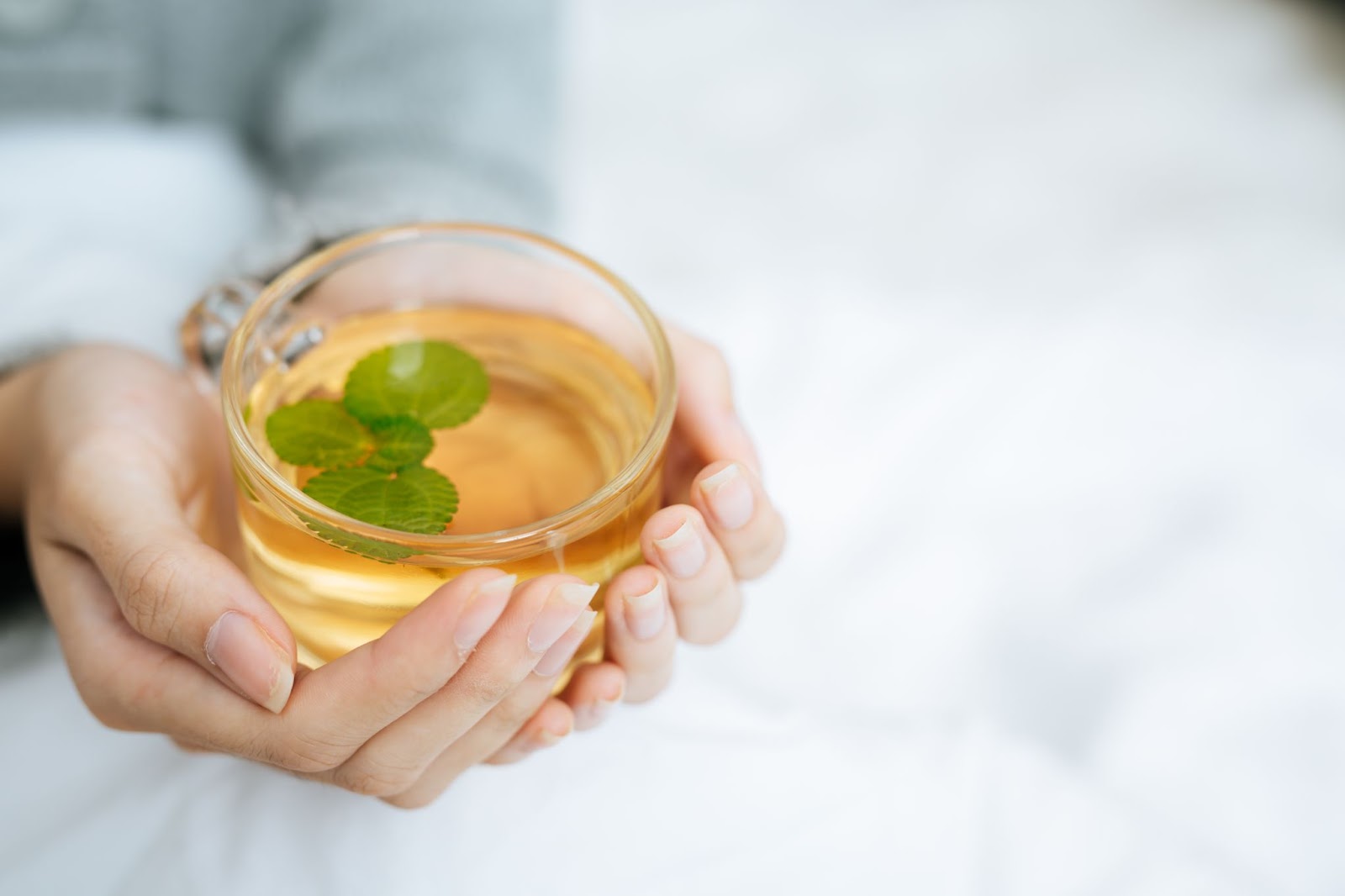  Organic Herbal Tea