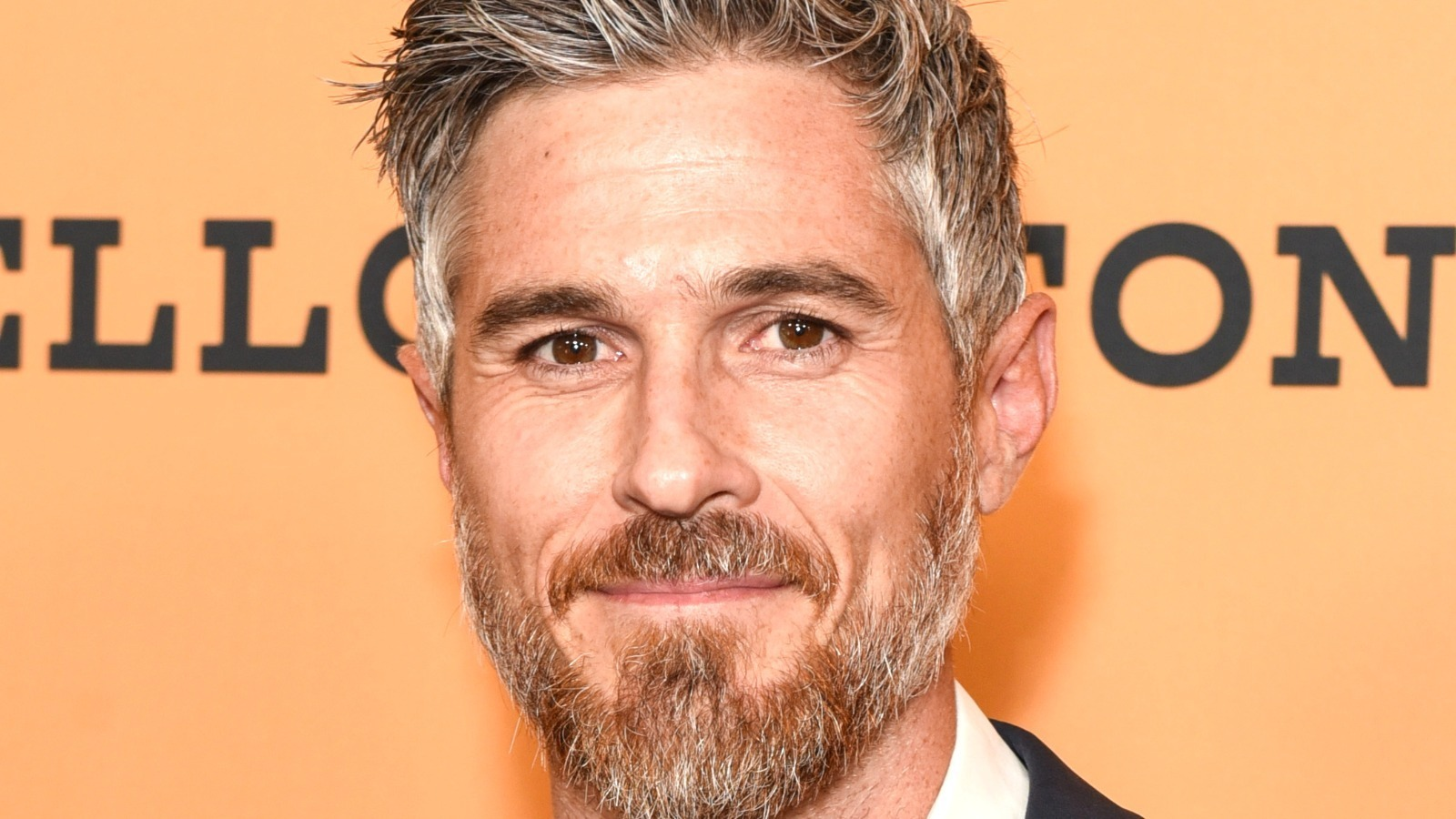 Dave Annable Biography 