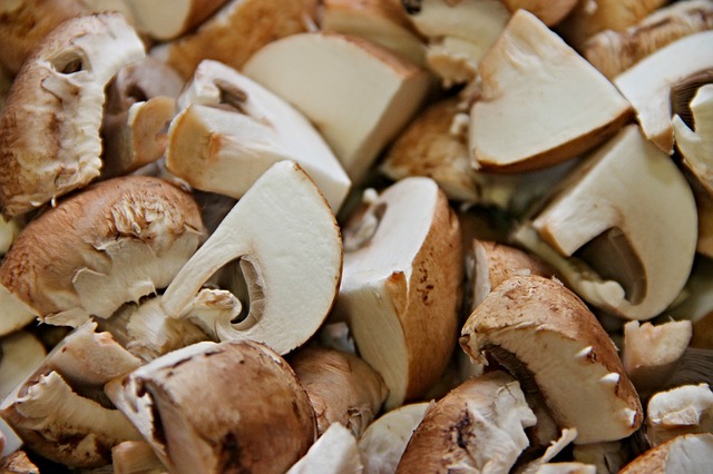 Mushroom