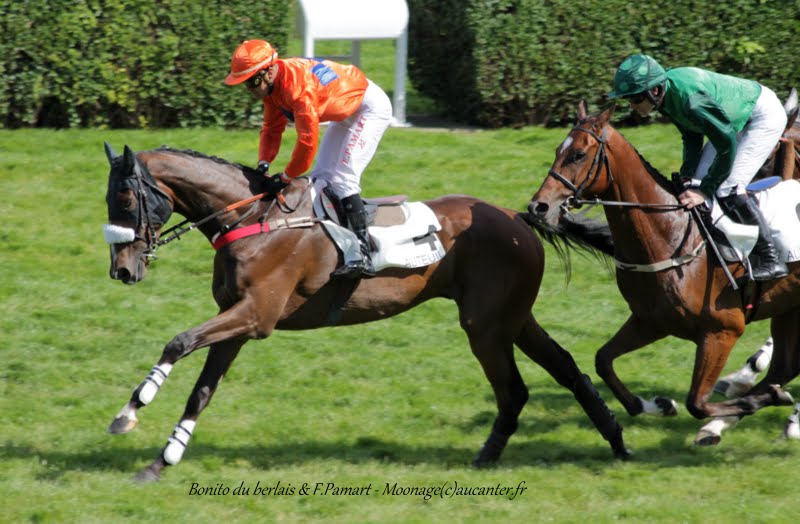 Photos Auteuil 7-06-2015 Journée Grande Course de Haies - Page 2 Vw7T5GgfYI4maSSkHSeKSzC8u21aFGNfTh3D4FZz3WiC=w800-h524-no