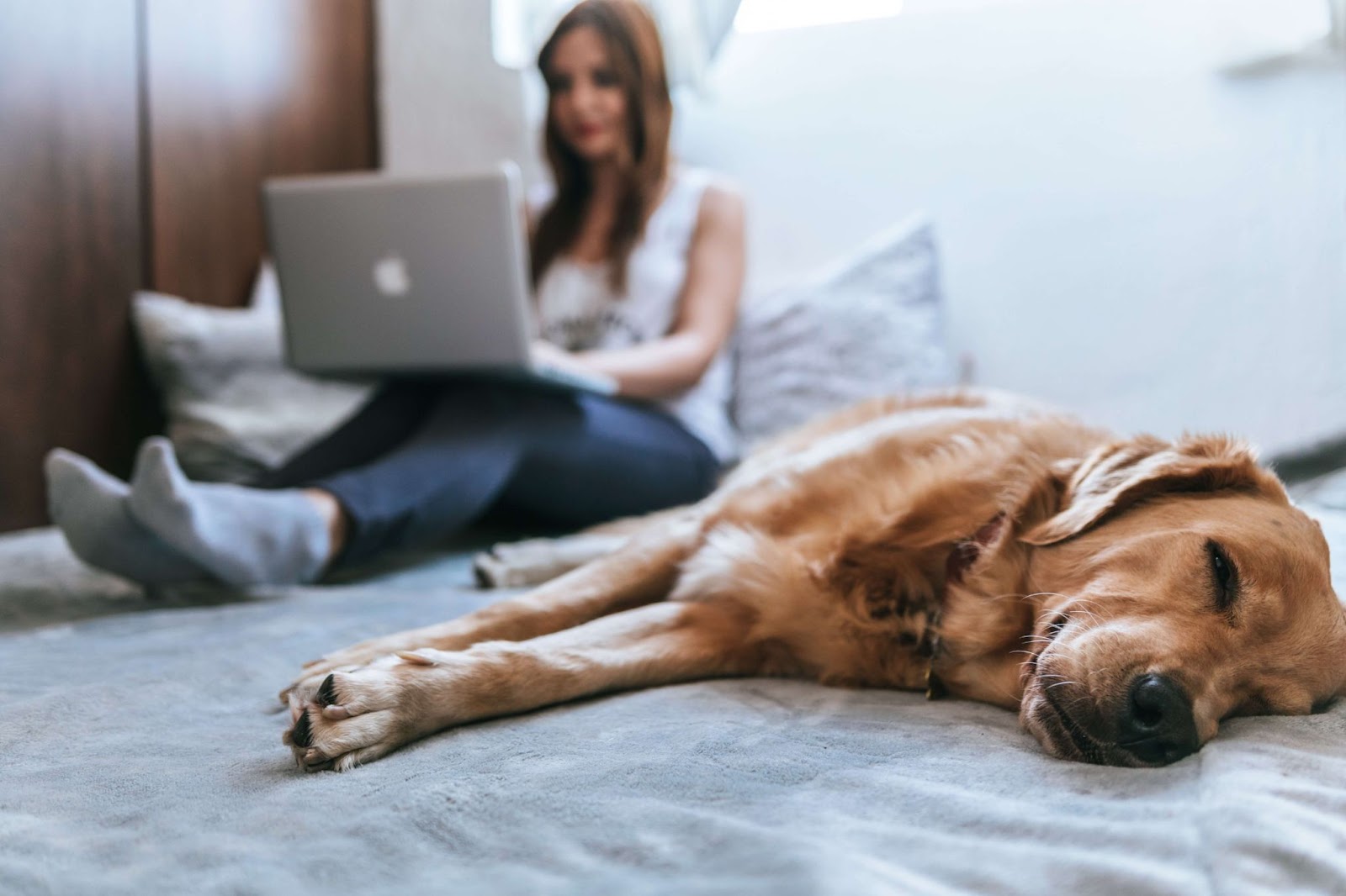 Why Does My Dog Sleep At My Feet?