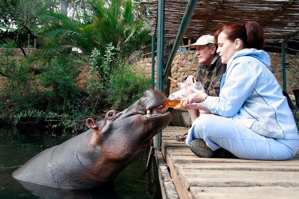 A couple feeding an elephant

Description automatically generated with low confidence