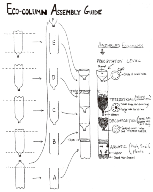 Column Image.jpg