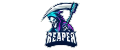 https://liquipedia.net/commons/images/3/38/ReaperKiller_Esports_std.png