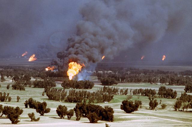 Environmental impact of war - Wikipedia