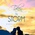 Promo Blitz and Cover Reveal: Taken by Storm by Angela Morrison
