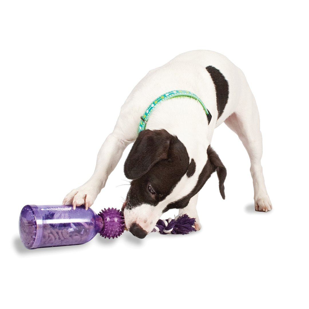 耐啃咬的橡膠球可以讓狗狗花很多時間啃咬。