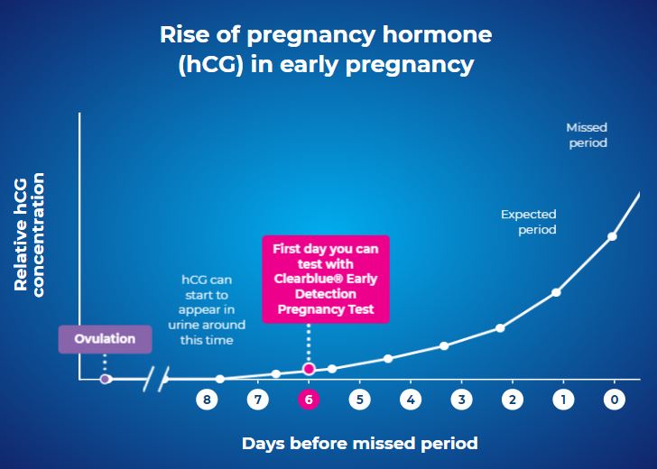 Rise of Pregnancy Hormone (hCG) in early Pregnancy
