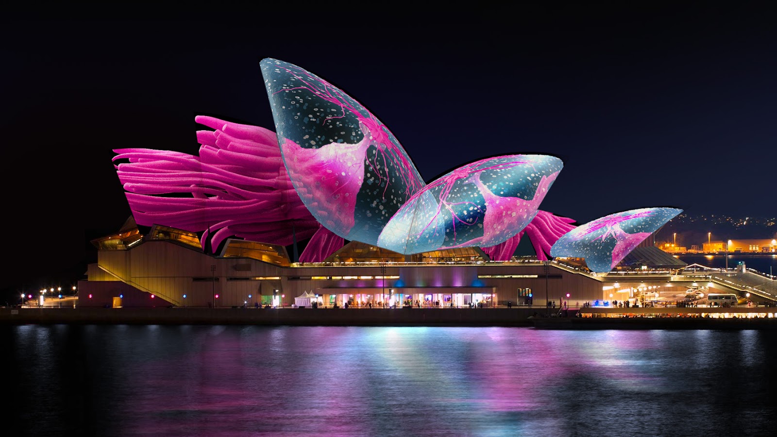 The Bilbao Effect: Architecture Sparking Tourism- Sydney Opera House