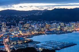 Image result for wellington