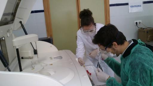 C:\Users\usuario\Desktop\pepe\Dropbox\GERENTE 2011-2017\fotos Linares web Linares\fotos Linares web Linares\DSC_0055.jpg