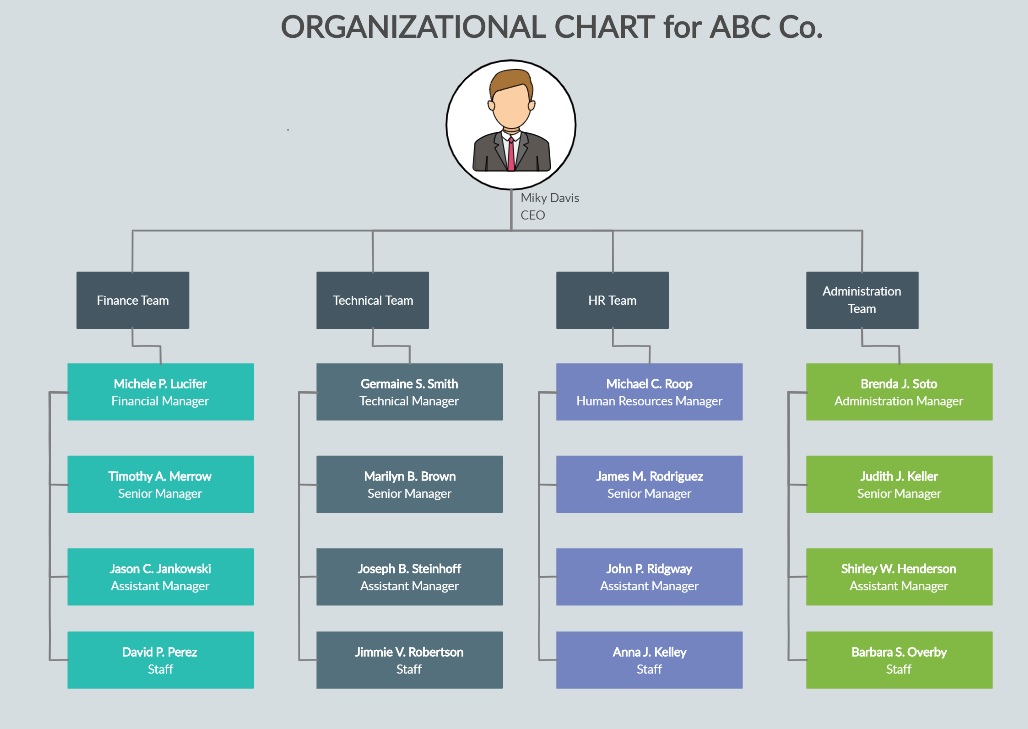 Model de organigrama pentru o firma
