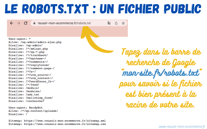 Trouver son fichier robots.txt sur Google