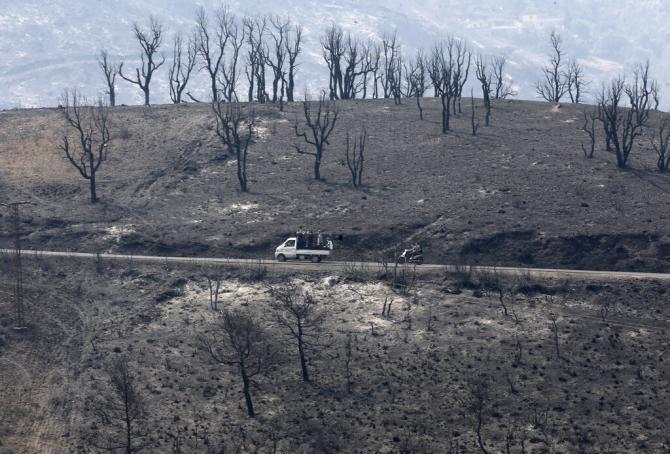 A charred forest after a fire near the village of Achlouf, in Kabylie, east of Algiers, Friday, August 13, 2021. Dozens of fires began to devour the wooded slopes from the Berber region on Monday.  The President has declared a three-day mourning period to honor the lives lost.<br />  AP Photo/Toufik Doudou