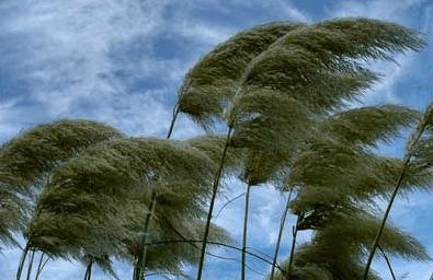 ScreenHunter_02 Jul. 10 17.18.gif