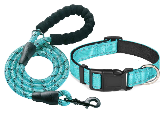 Ladoogo Dog Collar for Dachshunds