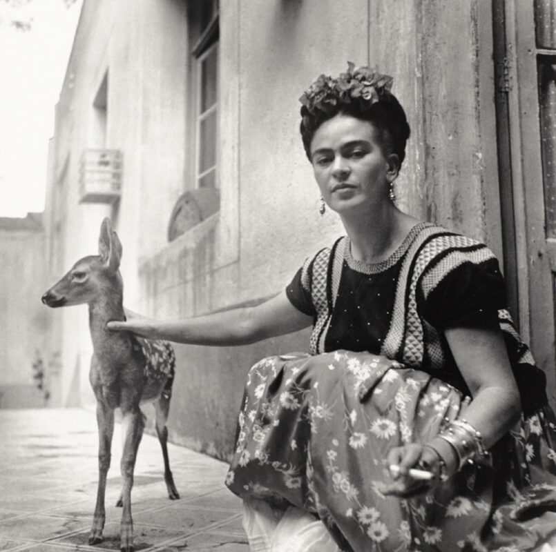 frida kahlo pet deer granizo