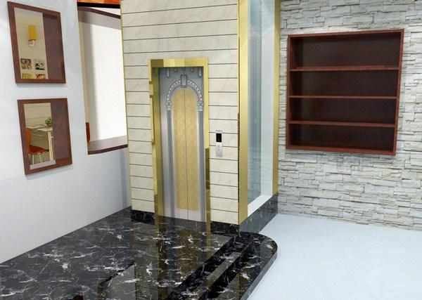 Thang máy gia đình nhập khẩu