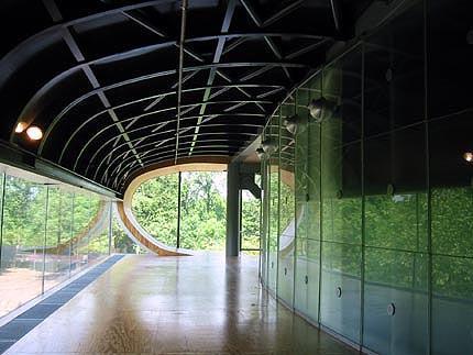 http://www.galinsky.com/buildings/educatorium/Interior%205.jpg