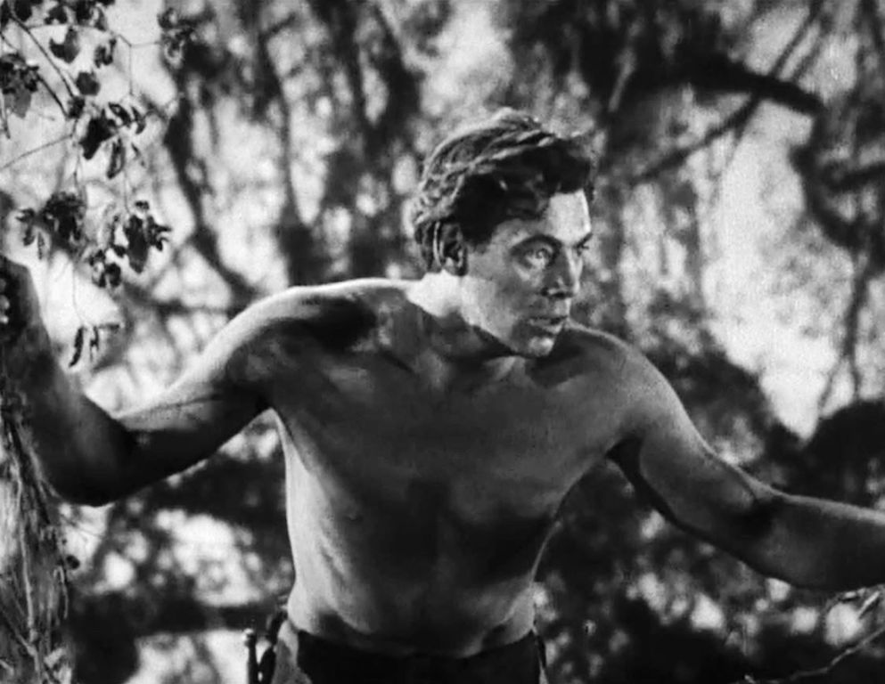 Image result for public domain Tarzan