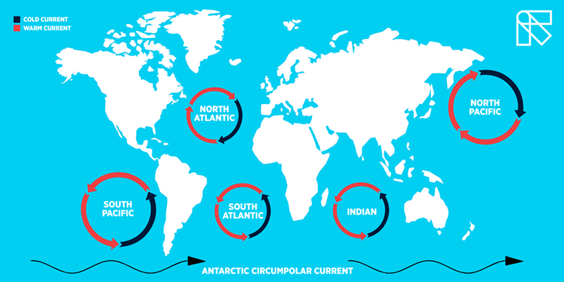 Plastic & the Great Pacific Garbage Patch — The Conscious Challenge