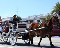 St. Augustine Sightseeing