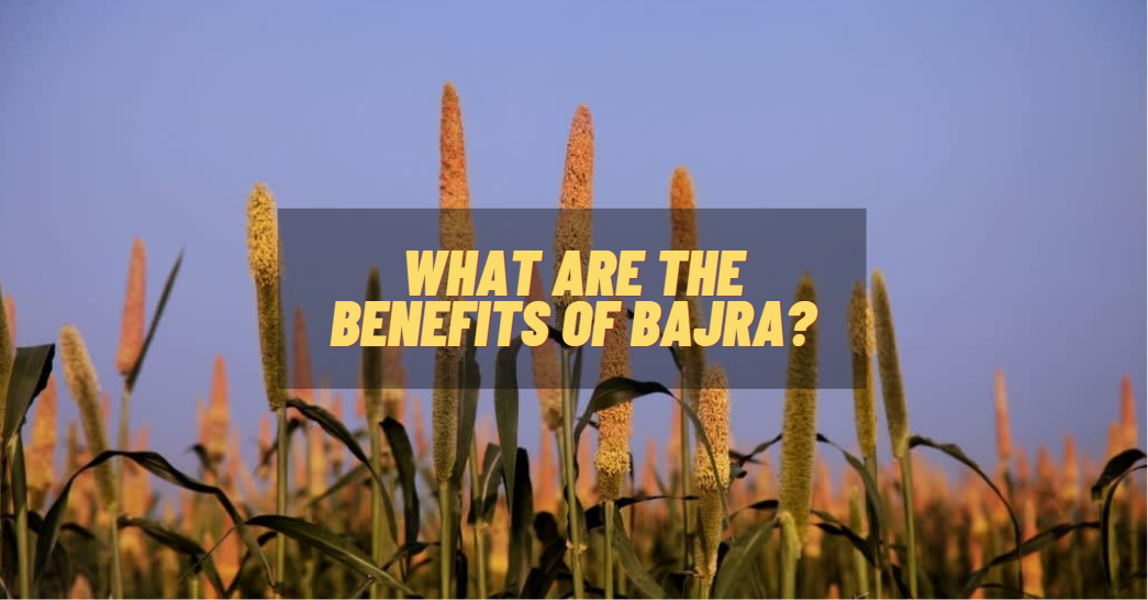 What Are The Benefits Of Bajra?