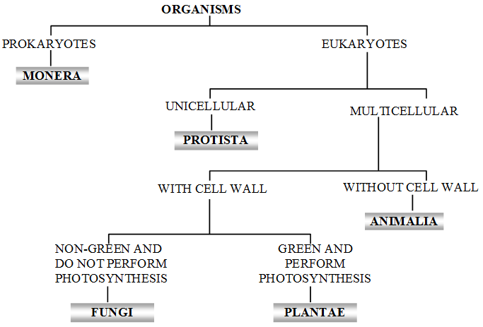 binomial-nomenclature