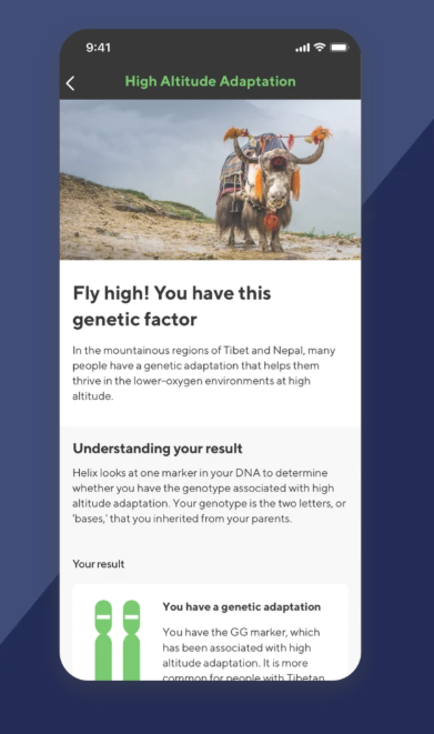 Mobile view of a sample report page describing a user's High Altitude Adaptation