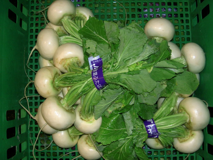 束になって緑のプラスティック容器に入った野菜のかぶの画像