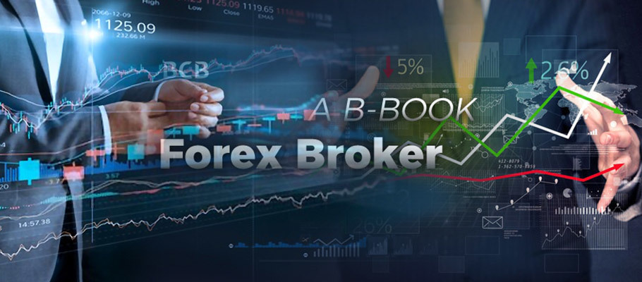The Best Forex Brokers in South Africa