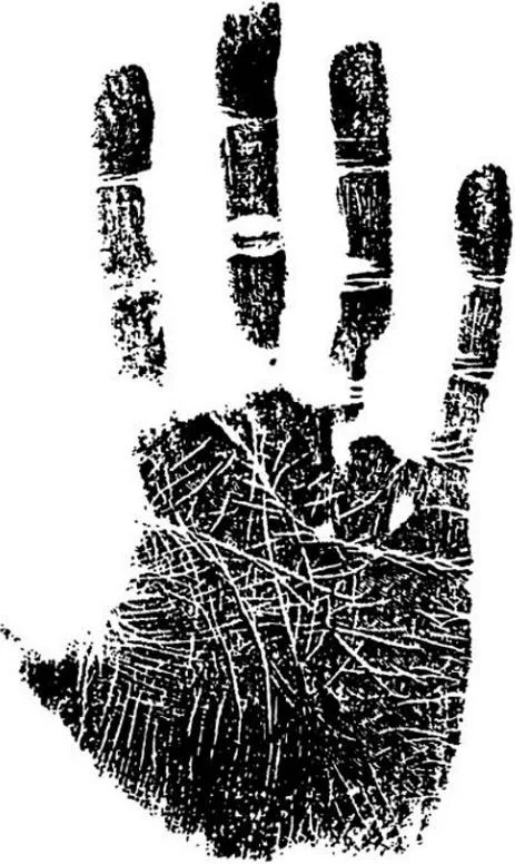 https://lh5.googleusercontent.com/qG4t5ub2yDfVemo2sPj8cirWOUH6MjiKq7uwK9oxOvX7WeoJr-afK3DQonUVyZECbH5TGUkHf2oo8FnWTGP-zLqYDguZBSktl-zZV09pTL0Jc0H60wx8WnrV9MfeB-gl8nRvIZEQy1En1Aa6nwaKt0widOzTCAZpBEluUsLIHJ0HRS95wItHm-Of5KGjFJppIrEEZTgr0A