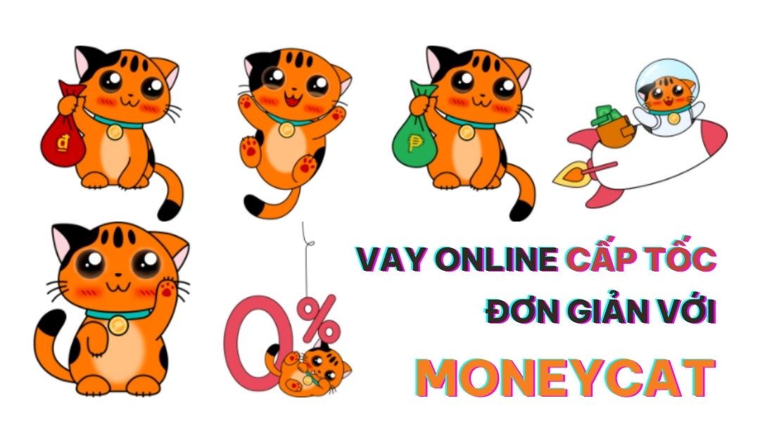 App vay tiền online trả góp hàng tháng – MoneyCat