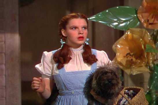 Dorothy with Toto staring in wonder at Oz