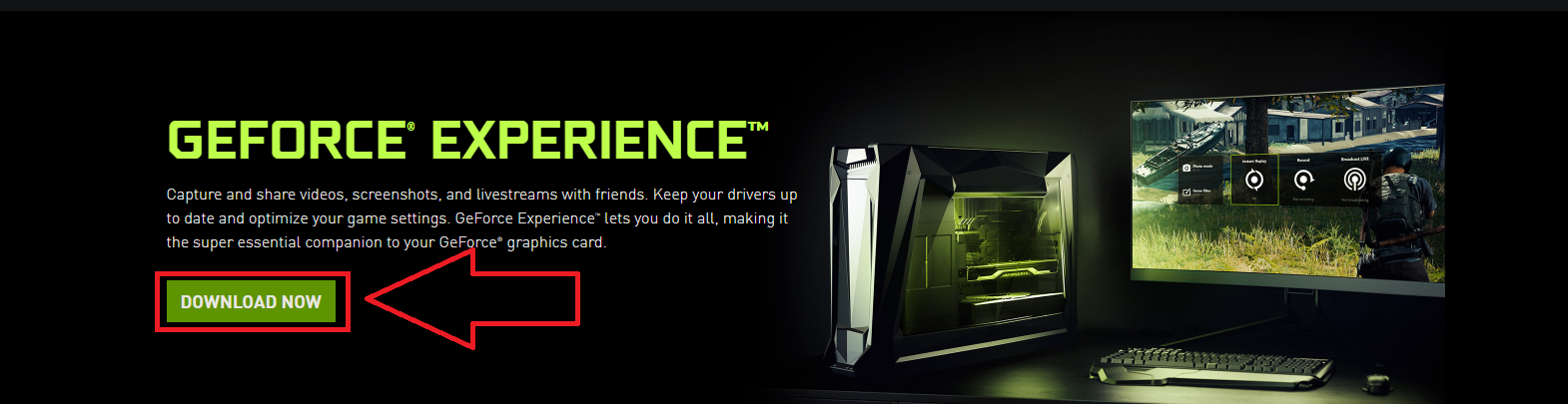 nvidia video card download