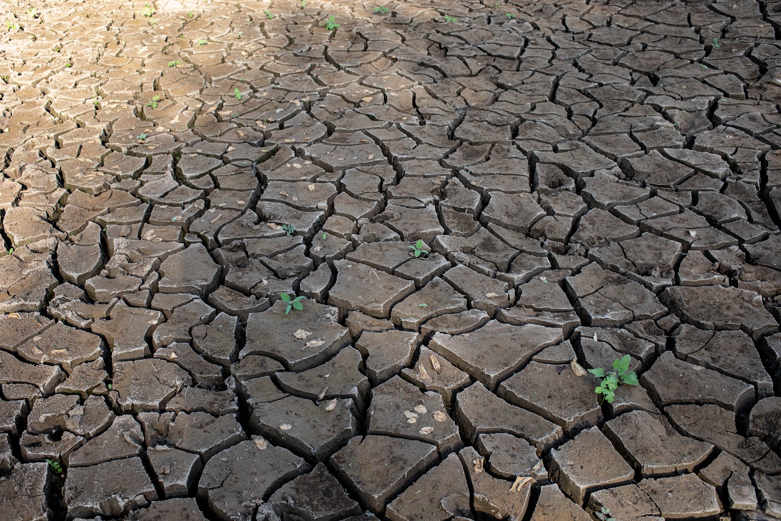Desertification in Sudan