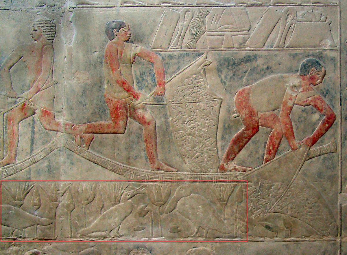 Examples of the lotus flower in Egyptian art.