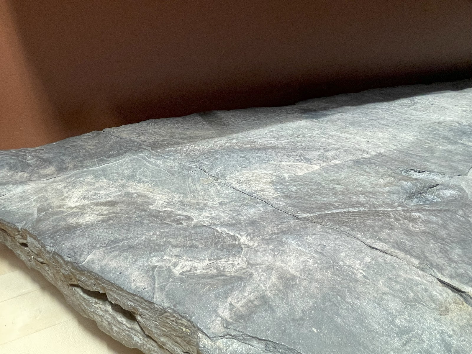 A thick, gray stone lies flat on a tan, wooden counter. There are faint hints of ancient feather markings on the rock.