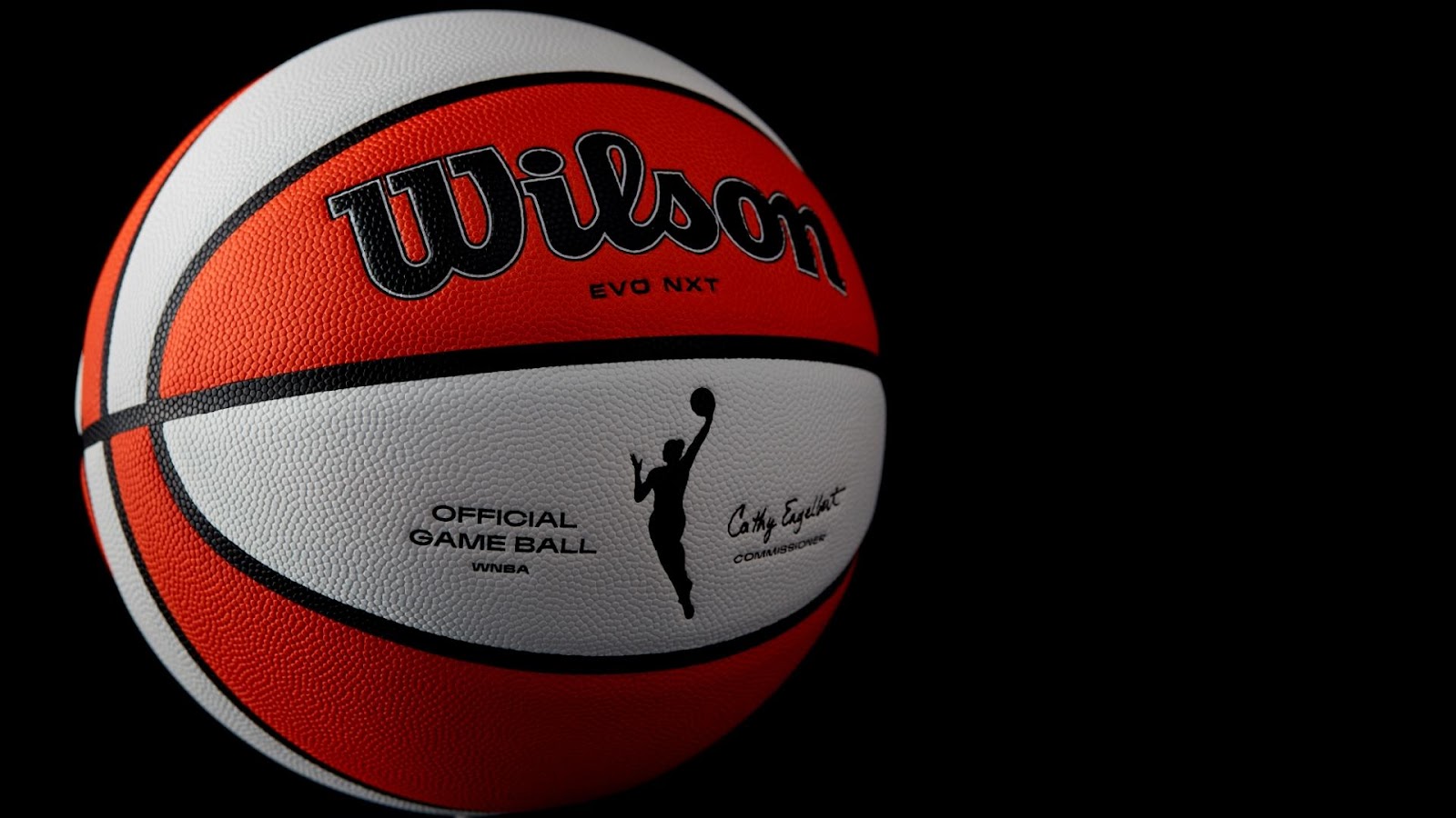 wilson volleyball