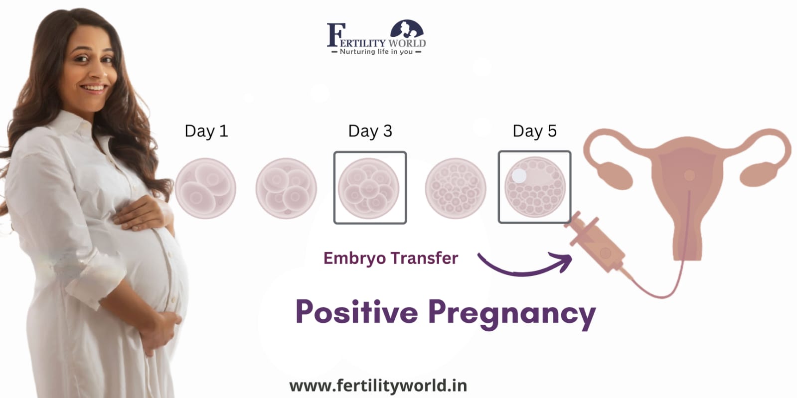 What is the IVF success rate in Ghaziabad?