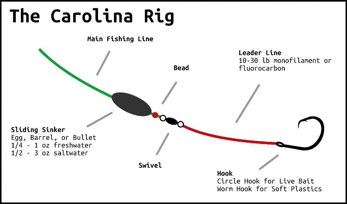 carolina-rig-diagram