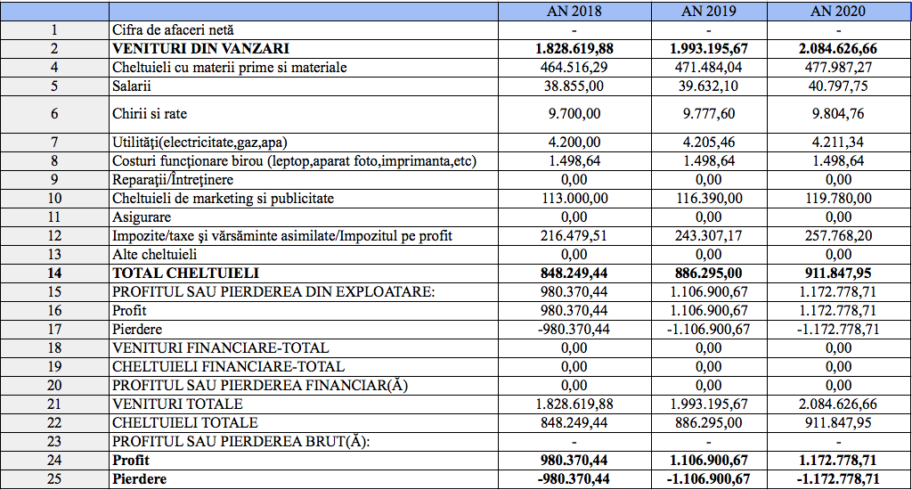 Cum construiesc un Plan de Afaceri. 3 modele de business plan