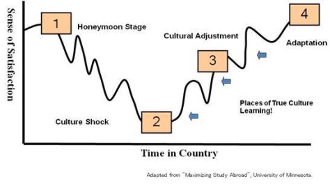 The Process of Culture Shock and Cultural Adjustment