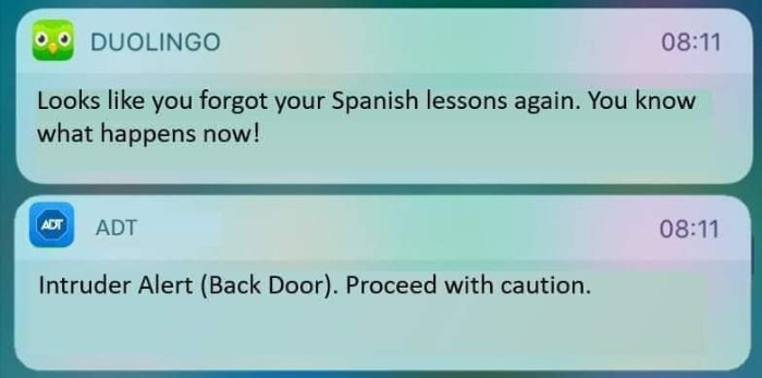 Screenshot of 2 phone notifications:
1 - DUOLINGO: looks like you forgot your Spanish lesson again. You know what happens now!
2 - ADT: Intruder alert (back door). Proceed with caution. 