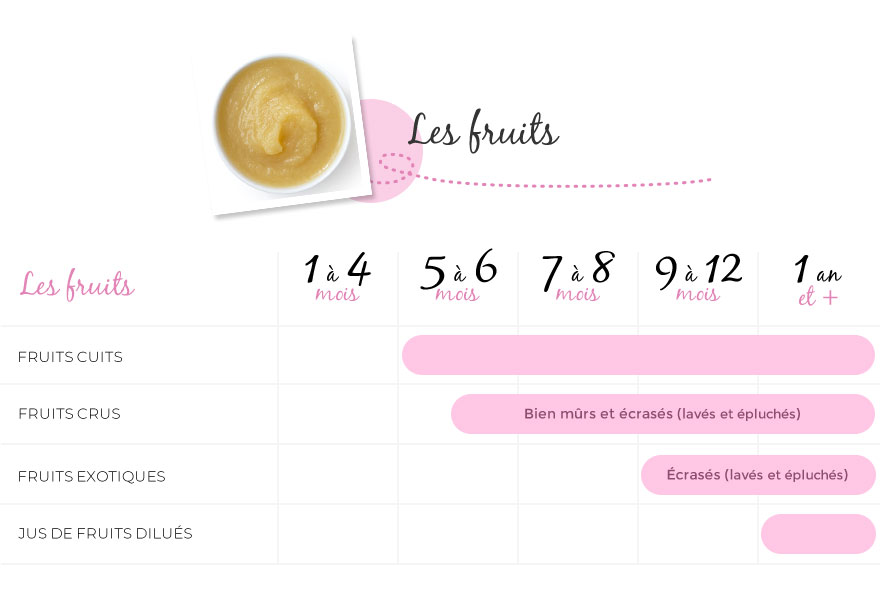 La Diversification Alimentaire Pour Bebe My Little Store