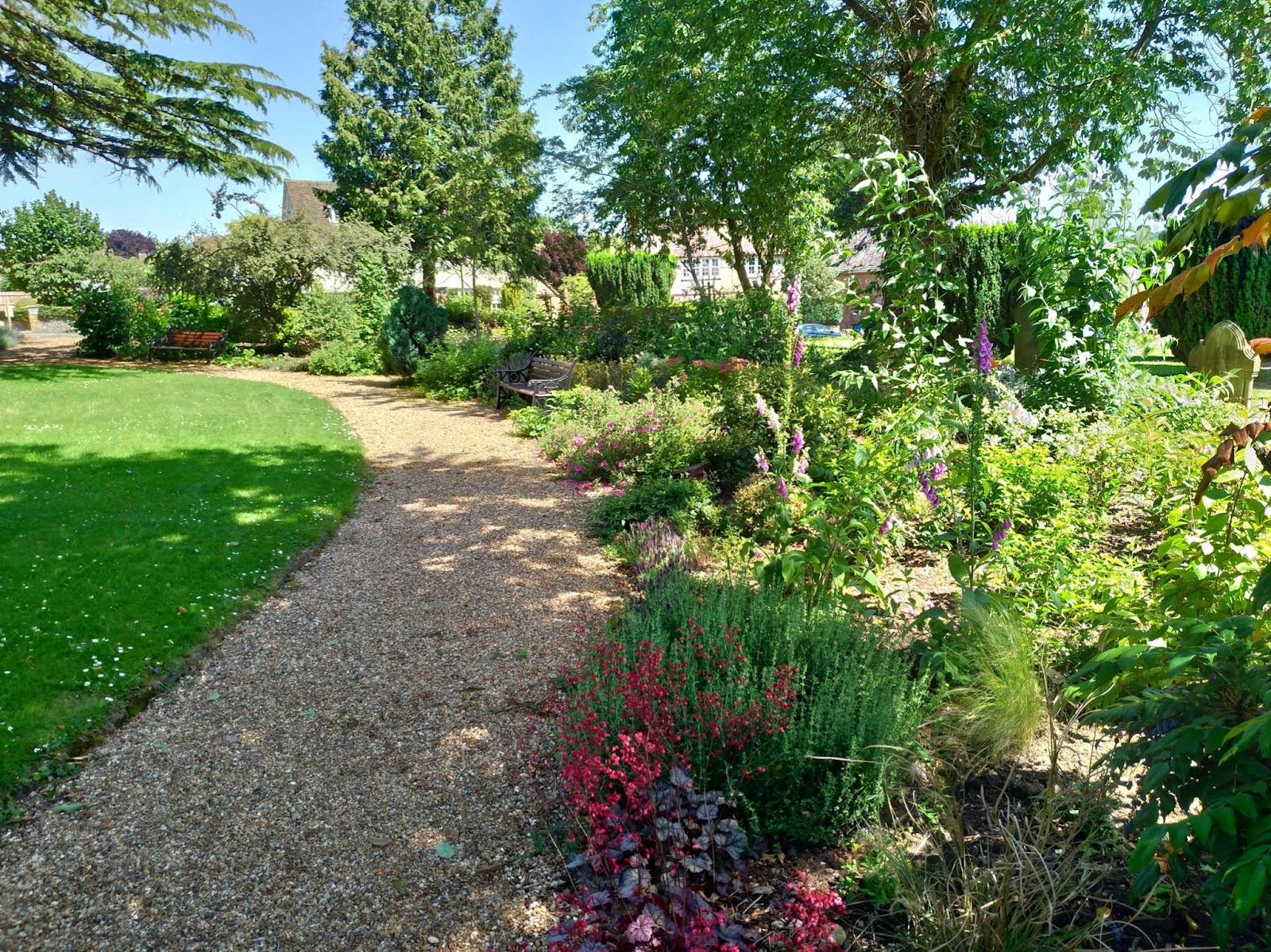 Gravel pathway in English country garden