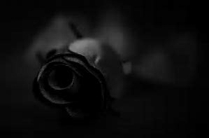 Image result for grief