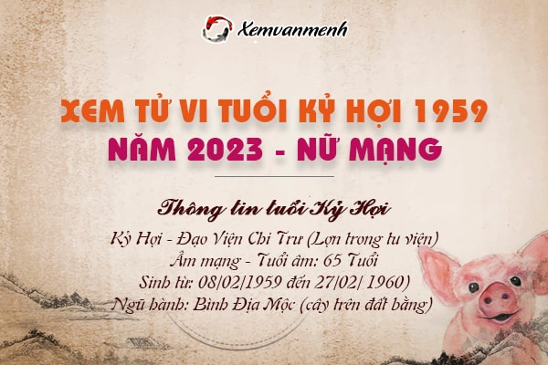 Xem tử vi tuổi Kỷ Hợi 1959 nữ mạng năm 2023 