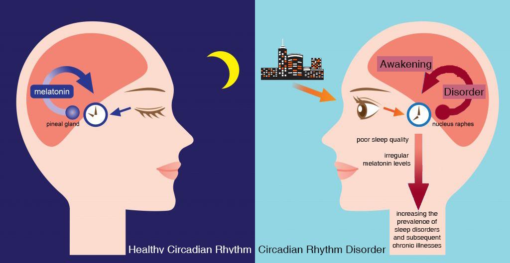 Circadian rhythm light exposure