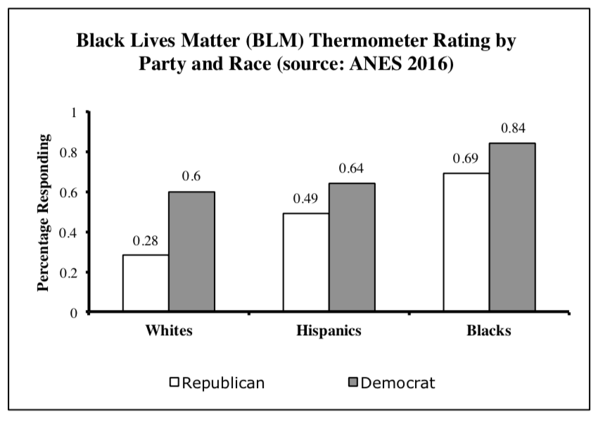 Graphic showing feelings about the Black Lives Matter movement by party and race. 